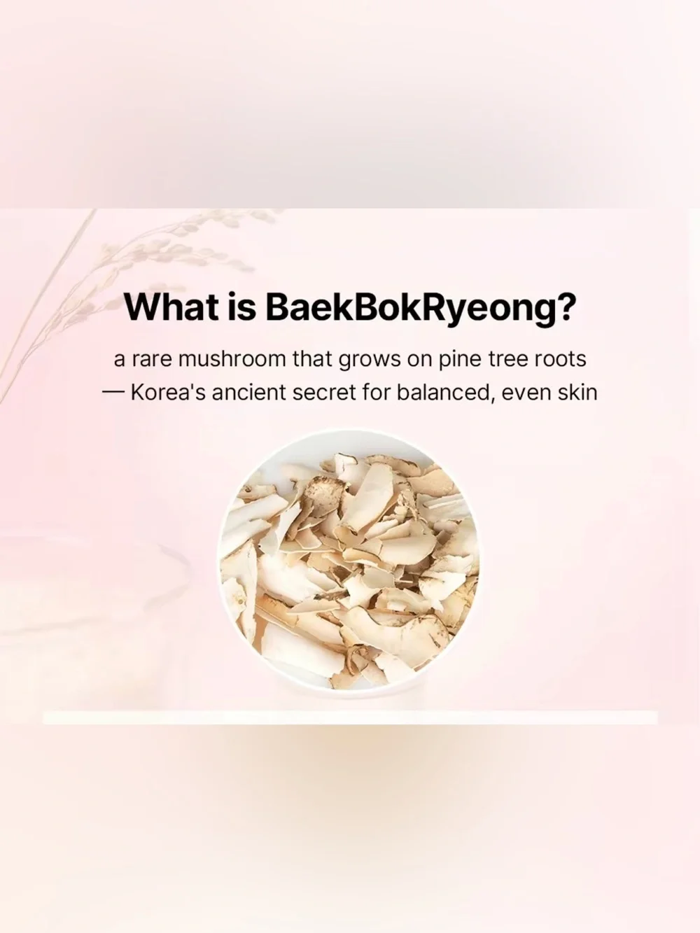 Baekbokkryeong & Rice Brightening Mask